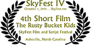 SkyFest 2010